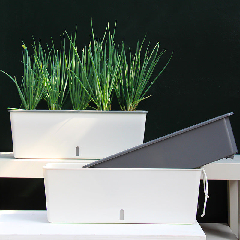 Self-Watering Planter Pots