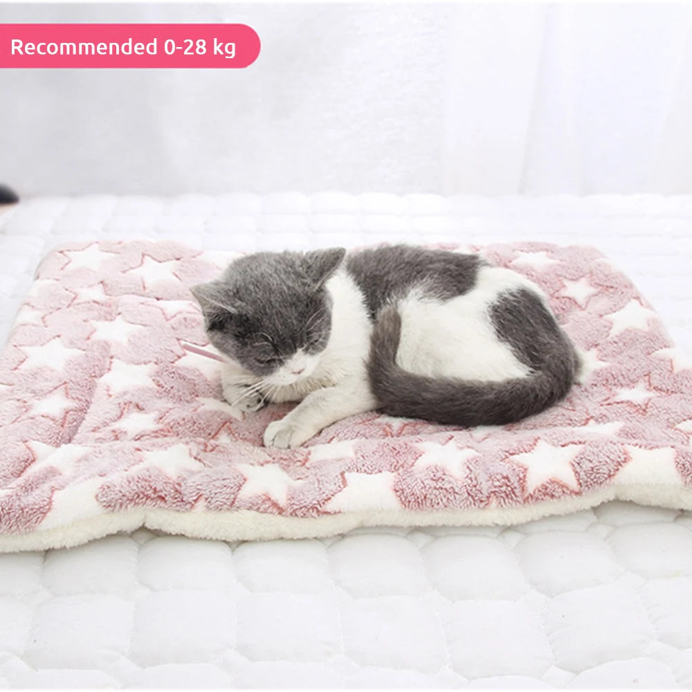 Winter Warm Dog Bed Soft Fleece Pet Blanket Cat Litter Puppy Sleep Mat Lovely Mattress Cushion for Small And Large Dogs 5 Size