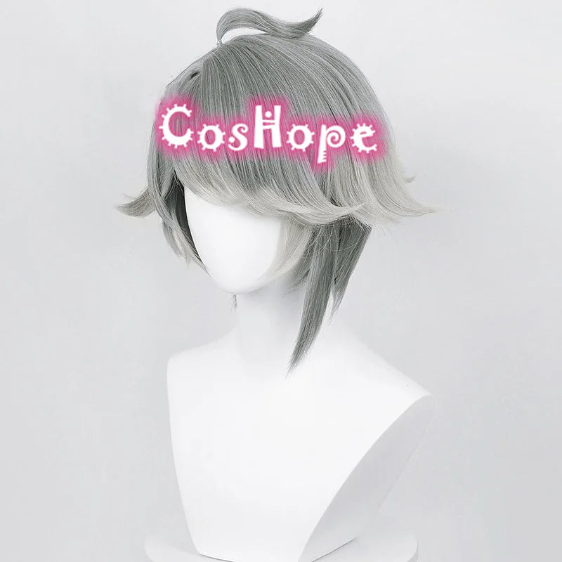 Al Haitham Cosplay Wig 30cm Short Gray Wig Cosplay Anime Cosplay Wigs Heat Resistant Synthetic Wigs