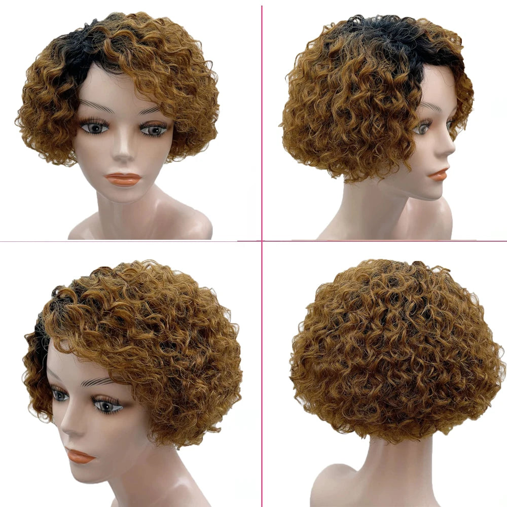 Short Kinky Curly Human Hair Wigs for Women Pixie Cut Side Part Brazilian Remy Hair None Lace Front Human Hair Natural Black