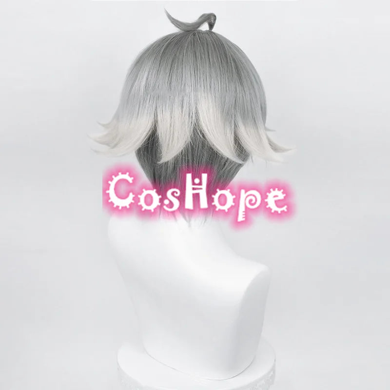 Al Haitham Cosplay Wig 30cm Short Gray Wig Cosplay Anime Cosplay Wigs Heat Resistant Synthetic Wigs