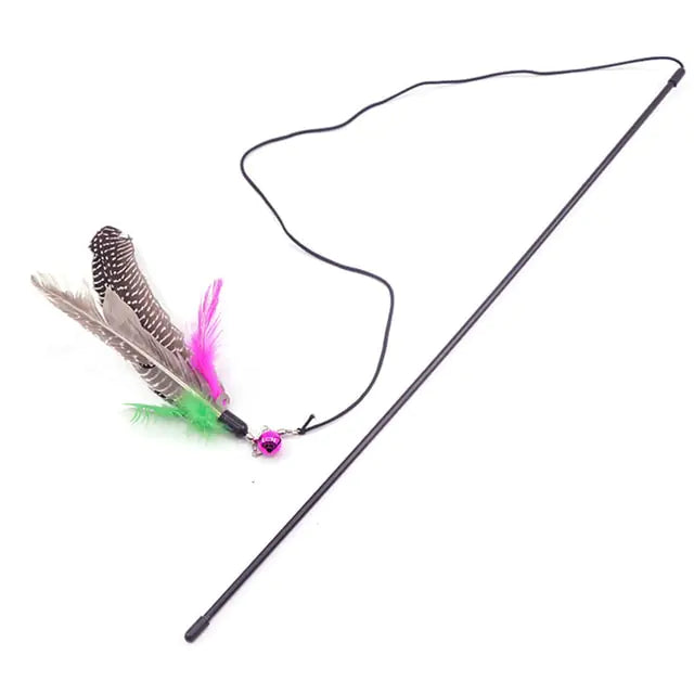 Feather Toy